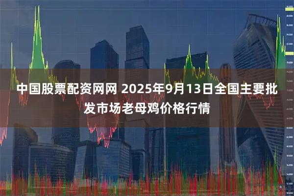中国股票配资网网 2025年9月13日全国主要批发市场老母鸡价格行情