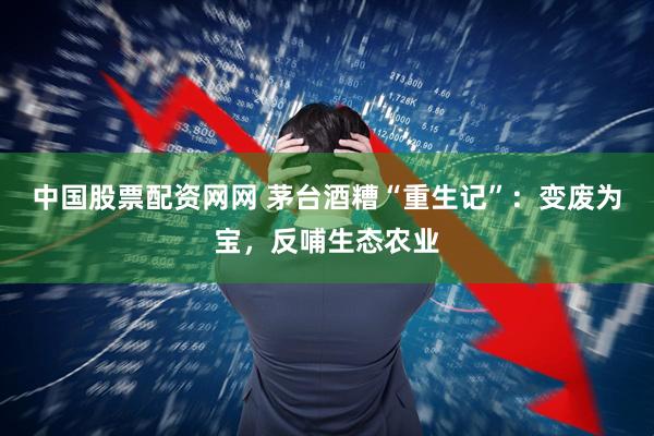 中国股票配资网网 茅台酒糟“重生记”：变废为宝，反哺生态农业